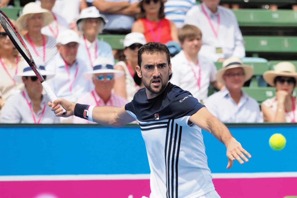 Marin Čilić