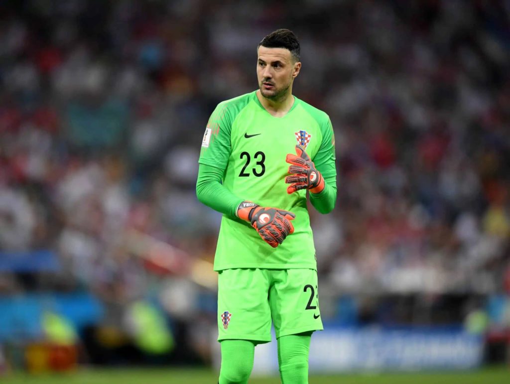 Danijel Suba&scaron;ić na SP-u 2018.