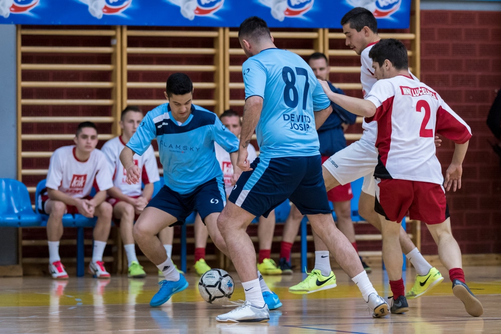 Kutija &scaron;ibica 2017. godine
