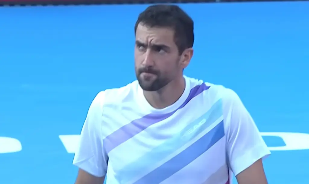 Marin Čilić Nuno Borges