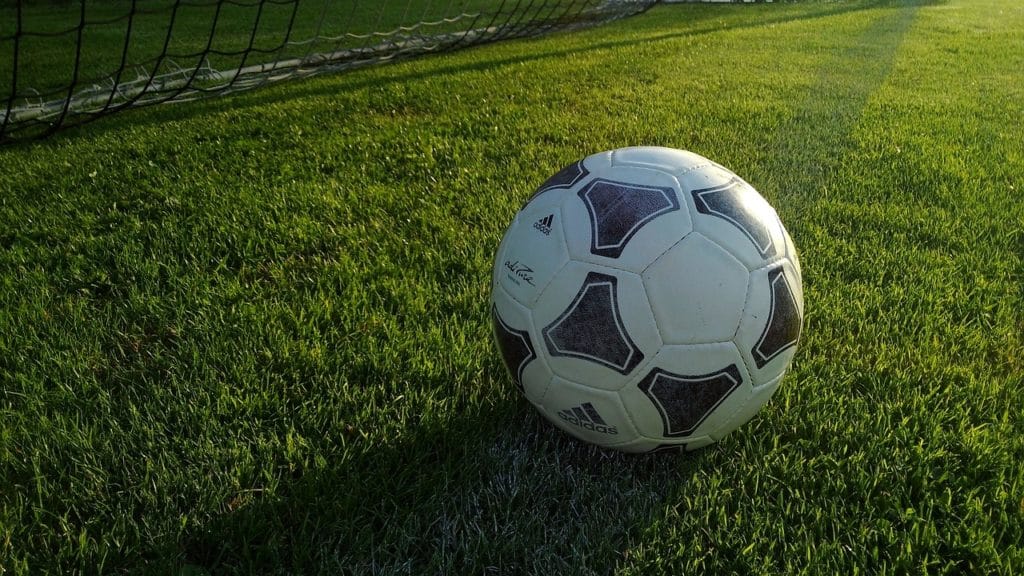 Nogometna lopta na travi